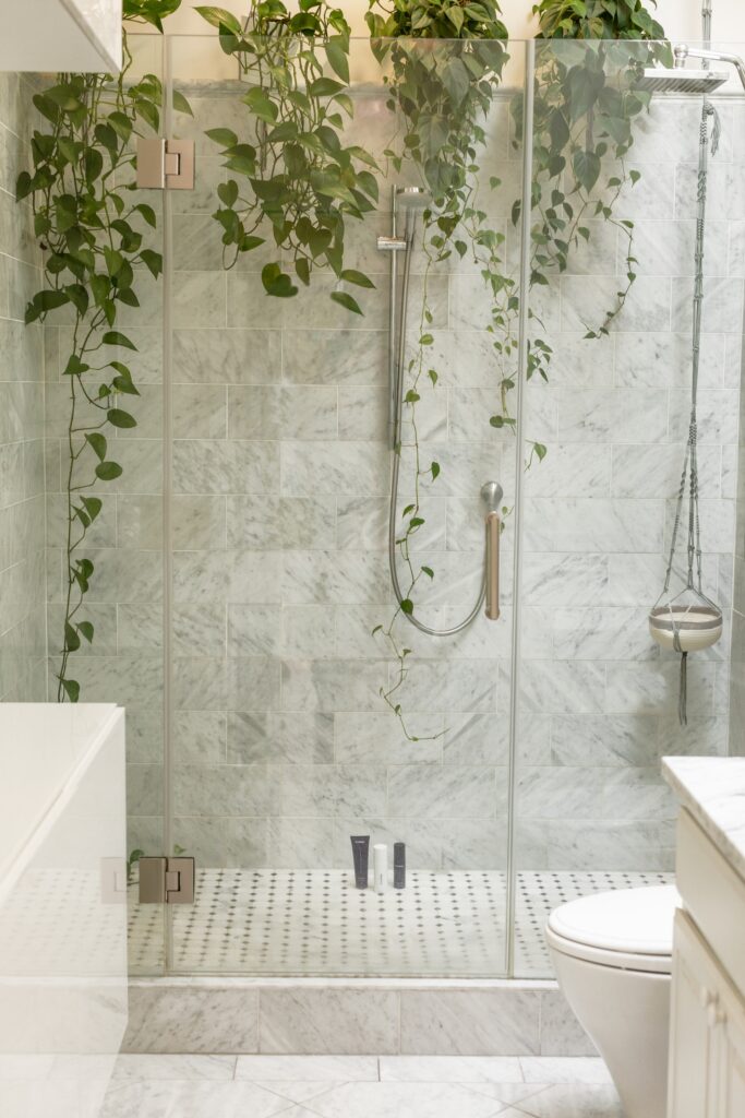 shower in a bathroom