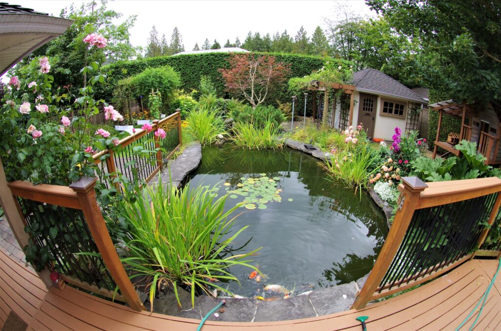 calm water near a large garden